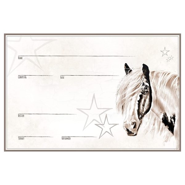 ZAUBERBILD Boxenschild Stallschild Stalltafel Namensschild Pferd 'Tinker, Schecke, Pinto, Paint Horse' 20x30cm Alu – Bild 2