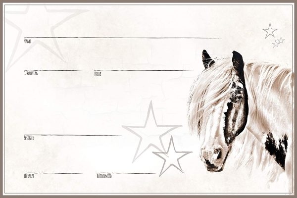 ZAUBERBILD Boxenschild Stallschild Stalltafel Namensschild Pferd 'Tinker, Schecke, Pinto, Paint Horse' 20x30cm Alu