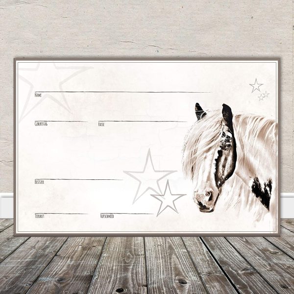 ZAUBERBILD Boxenschild Stallschild Stalltafel Namensschild Pferd 'Tinker, Schecke, Pinto, Paint Horse' 20x30cm Alu – Bild 5