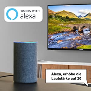 Works with Alexa