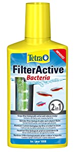 Tetra FilterActive