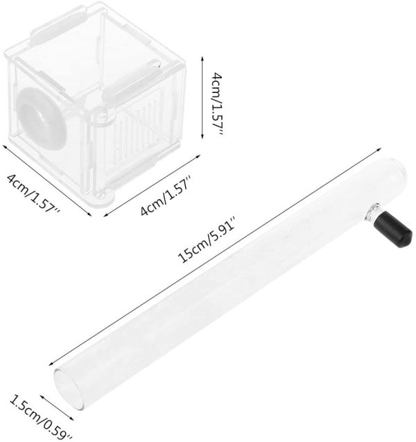 , Futterspender für Haustiere, Ameisennest, Glasröhre, Mini-Ameisennest mit Aktivzone, Insektenhaus aus Acryl ??natürliche und ökologische Ameisenfarm – Bild 3