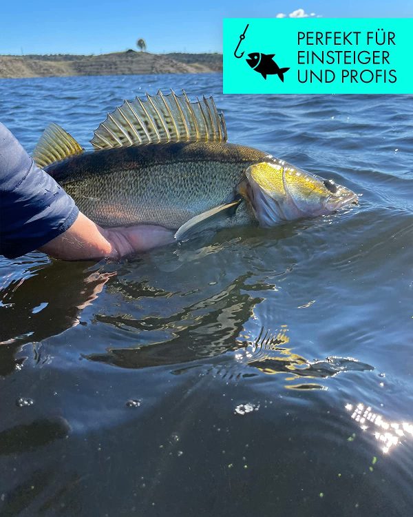 Zanderfang - Glasaugen Gummifische - Effektiver Köder für Zander und Barsch - mit Fischaroma aromatisiert - UV-Aktivität - 5er-Set – Bild 3